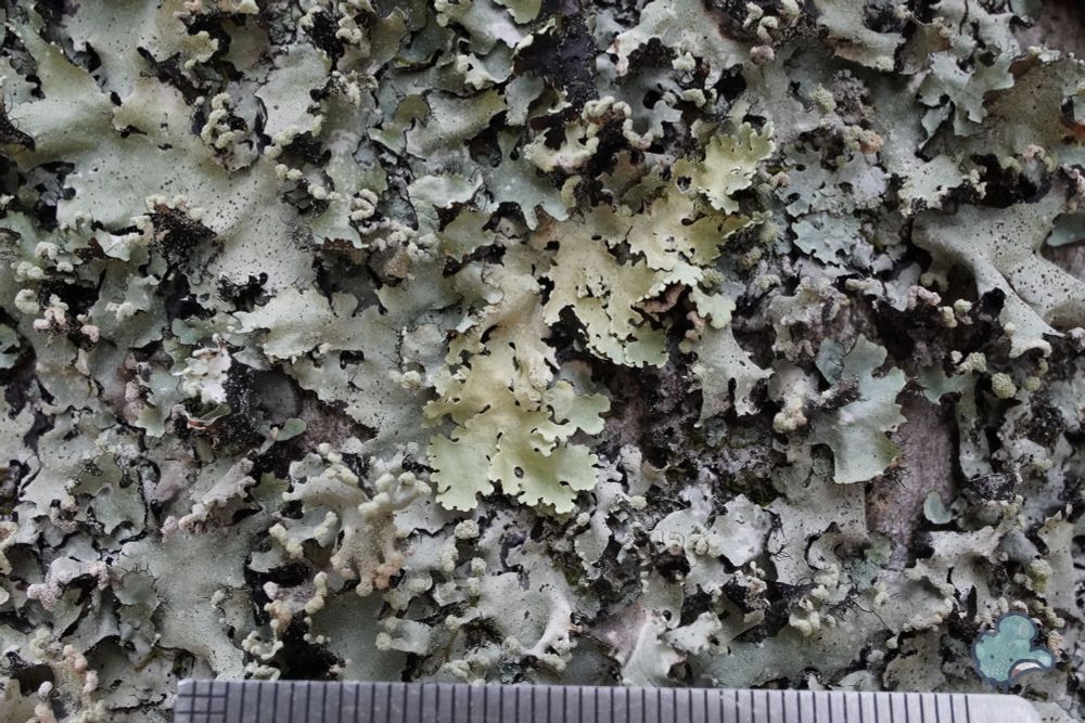 視界いっぱいに色々。