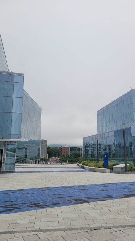 Glass buildings with a paved path in between (gray, with blue lines)