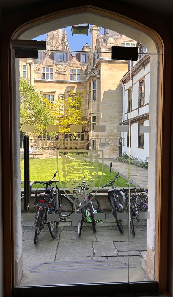 A large glass door looks onto a line of bicycles in front of a grassed area with buildings surrounding both sides of the grassed area. The day is sunny with shadows being cast onto the grass from the buildings.