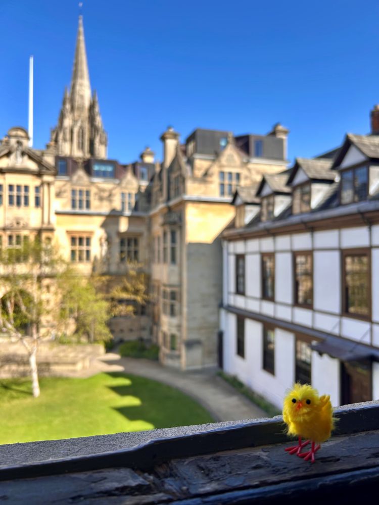 A small yellow toy chick stands on a window ledge in front of an out of focus view of two buildings set against a blue sky with a lawn and a small tree. One building is made of a light stone with many ornate windows the other, which is attached to the light coloured building, is white and dark brown with larger windows. 