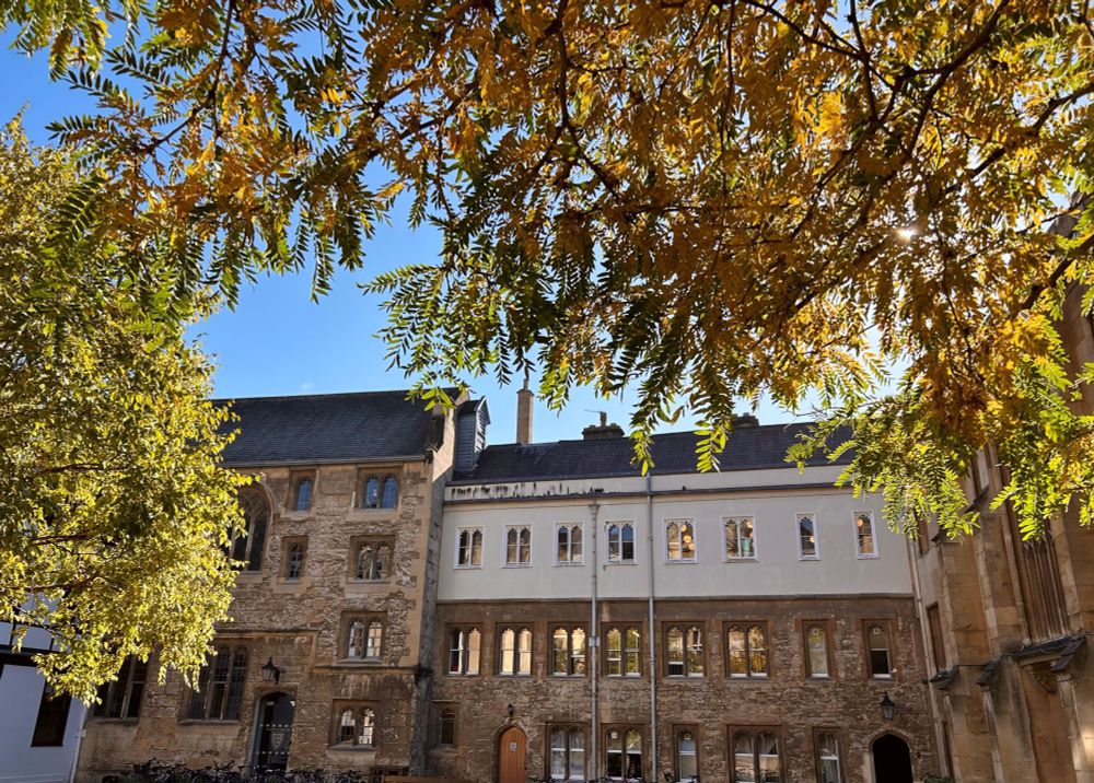 An old light stone building with three floors, and many small windows is frame by blue sky and overhanging tree branches with green and golden leaves. 