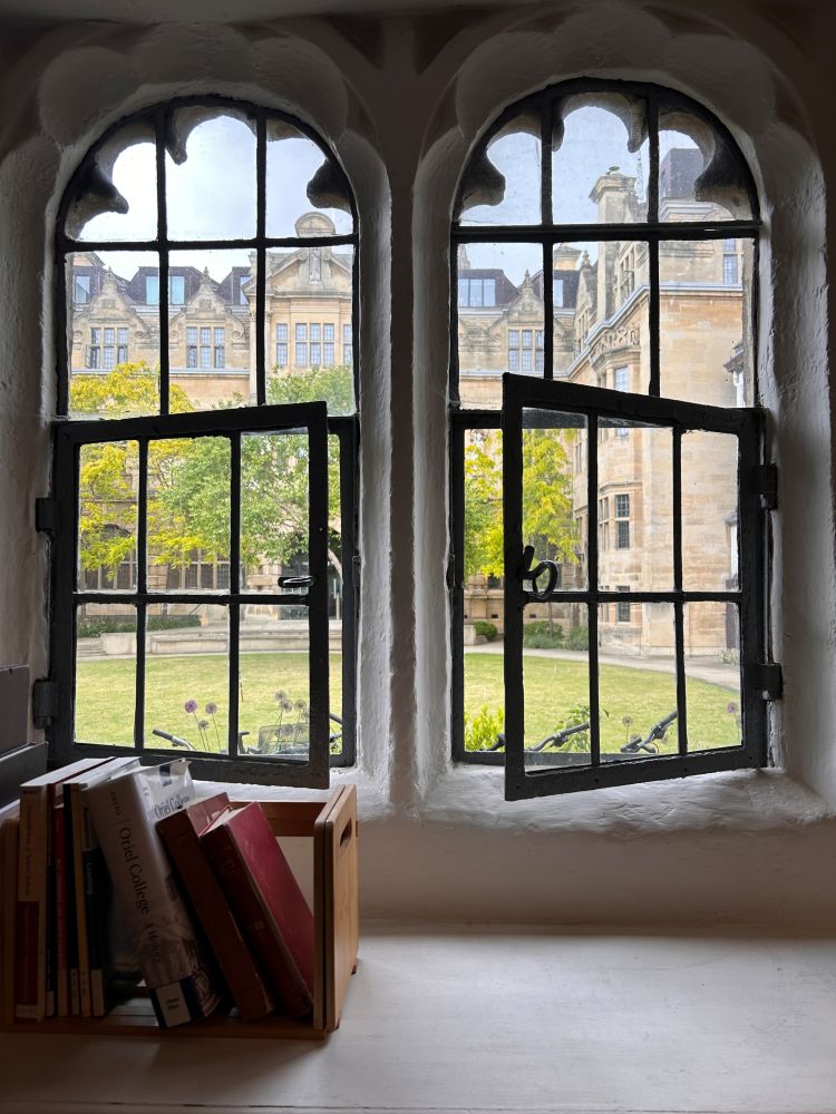 Two ornate windows look out onto a lawn surrounded by medium sized trees, with a large light stone coloured building behind. In front of the window is a small line of books in different colours.