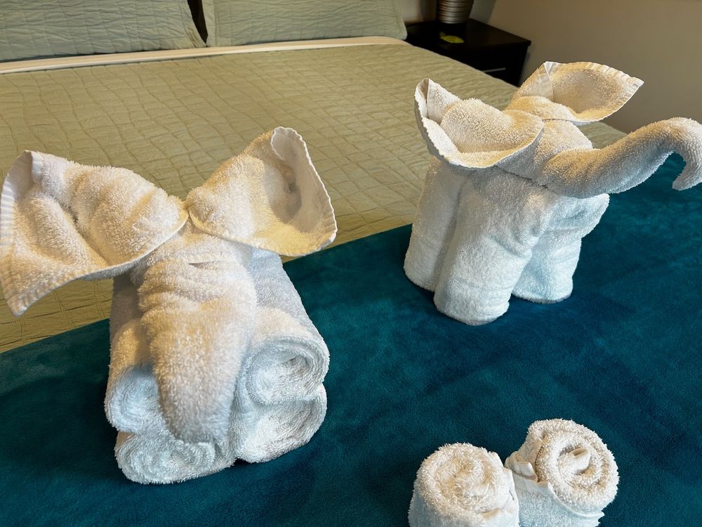 towels folded into shape of elephants