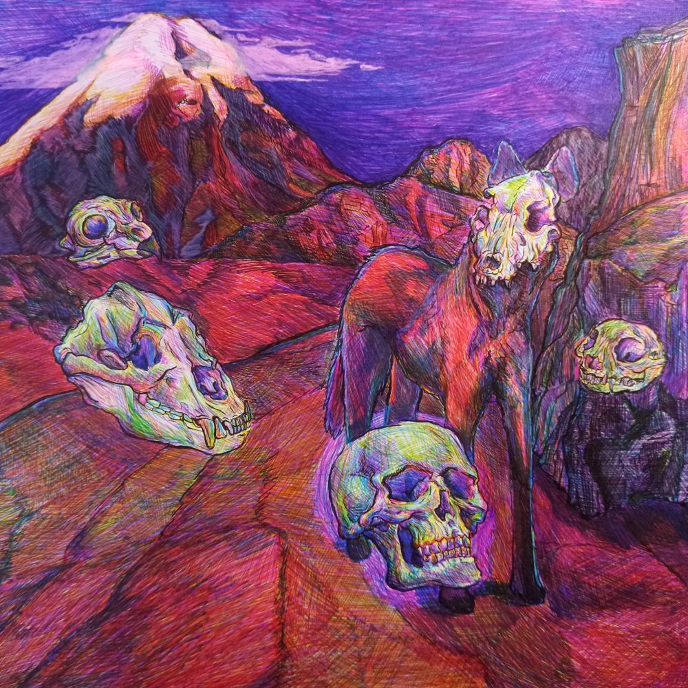 Representación de la fauna de los andes por medio de sus cráneos.