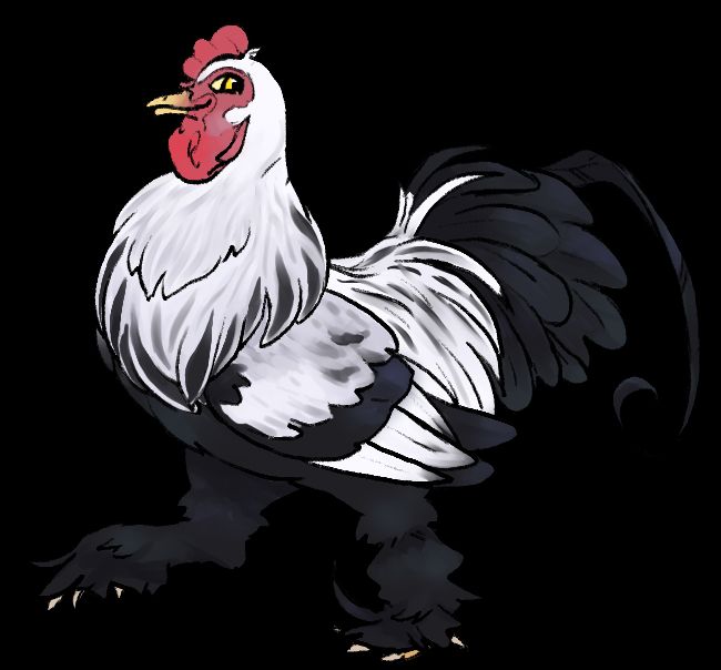 Drawing of a rooster