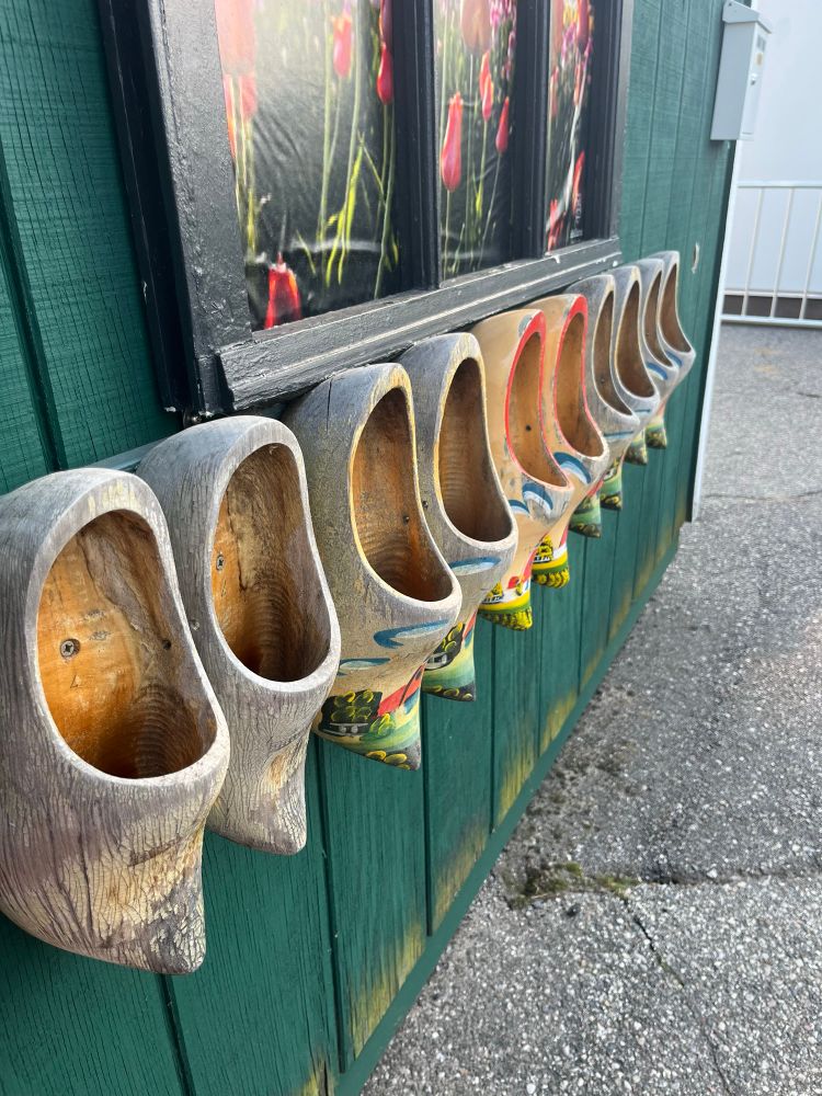 Bunch of clog shoe displays