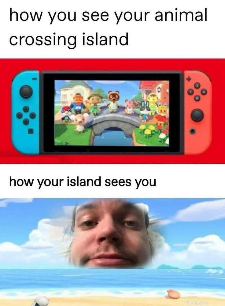 How you see your animal crossing island: a regular view of acnh on handheld switch
How your island sees you: unflattering angle of person looking down from sky 
