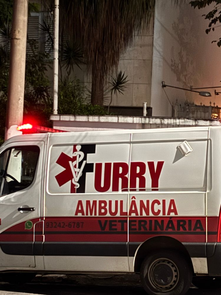 imagem da lateral de uma ambulância branca com uma listra vermelha proxima dos pneus. na parte superior está escrito “furry” em vermelho, logo abaixo também em vermelho está escrito “ambulância” e dentro da listra vermelha escrito em preto “veterinária”