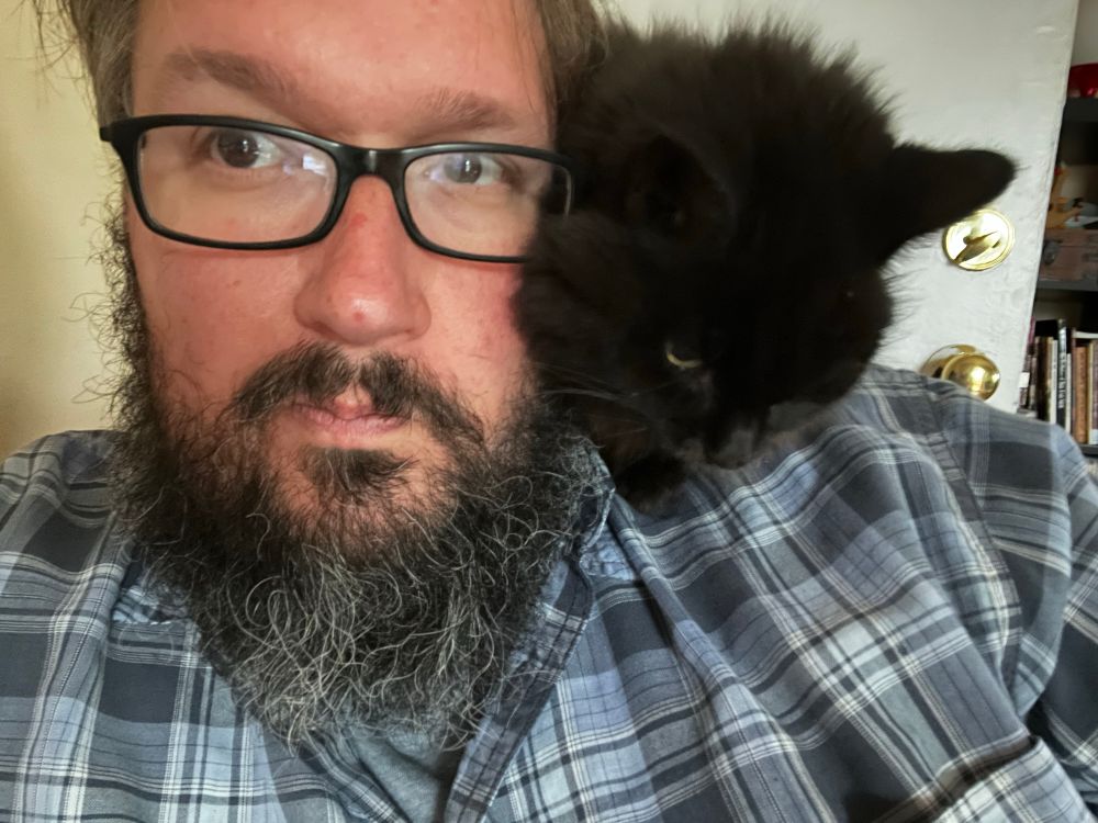 A fluffy black cat sits on a man’s shoulder. 