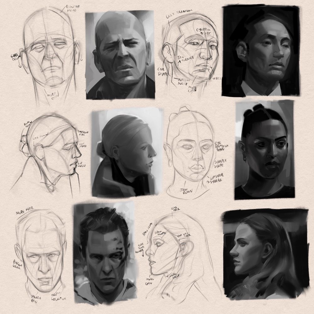 A selection of annotated head study drawings with value paintings next to them