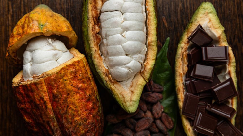 How to make perfect chocolate, according to science