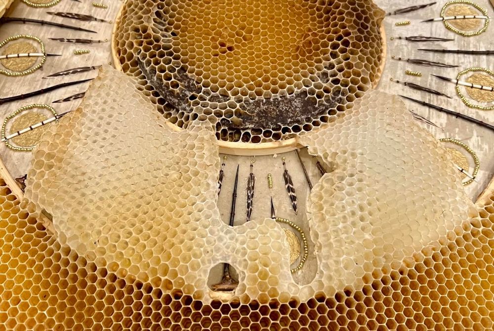 Honeybees Have the Final Say in Ava Roth's Collaborative Sculptures — Colossal