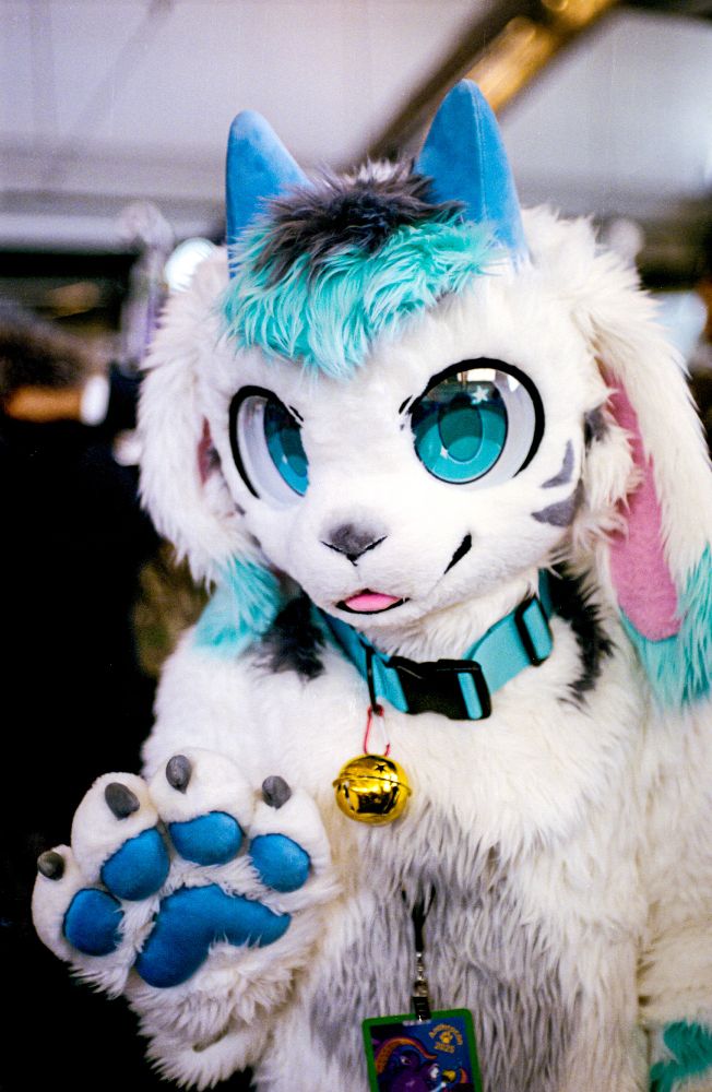 Rain in the Dealer's Den at Anthrocon.