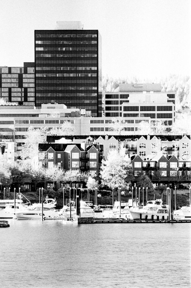 The western waterfront of Portland featuring parked yachts, town houses, and a brief cityscape.