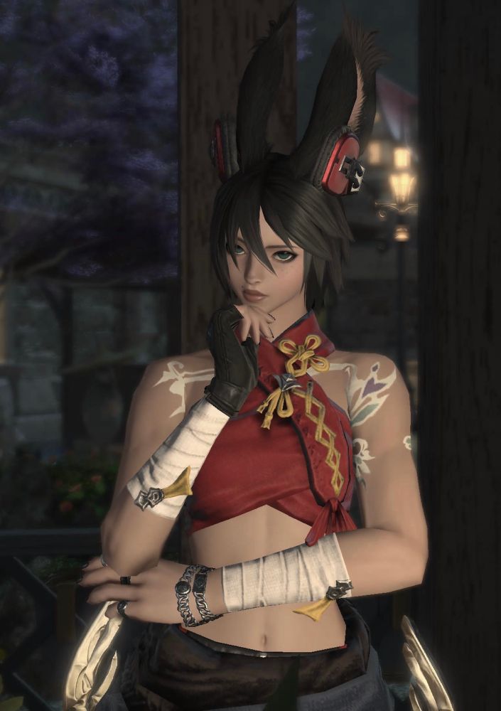 The picture portrays my FFXIV character a black haired viera 