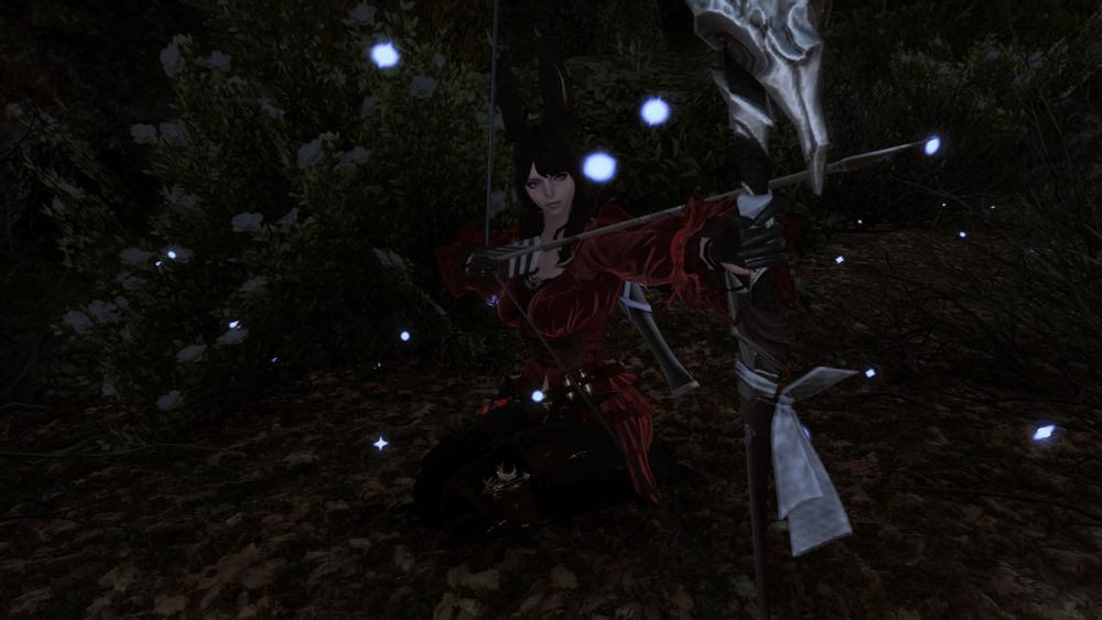 A picture of my Warrior of light (f. Viera) hunting in the woods under moonlight.