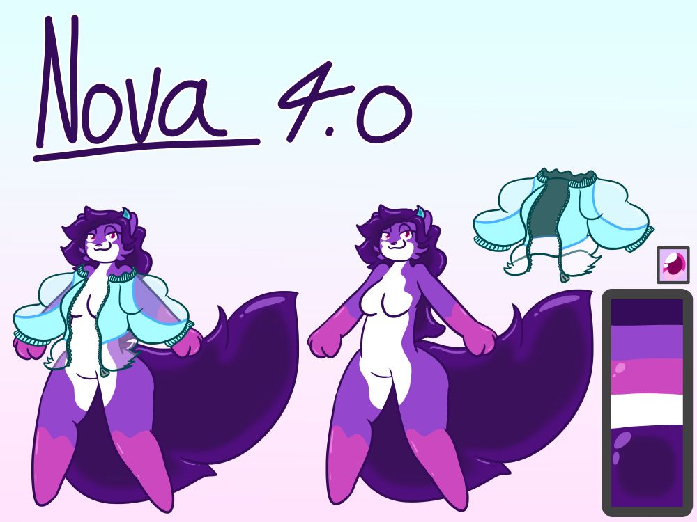 Nova 4.0 Ref