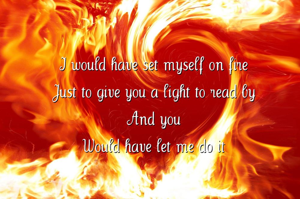 I would have set myself on fire
Just to give you a light to read by
And you
Would have let me do it