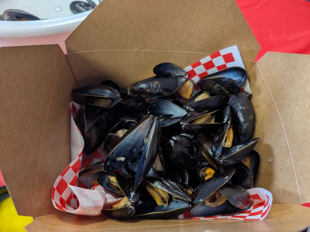 A large portion of fresh Englishtown mussels in a cardboard container, served on top of red and white checkered paper.