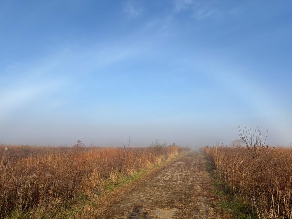 Arc of white clouds in a blue sky over an open field with a dirt path bisecting it.