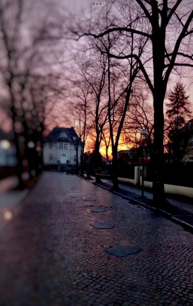 Ruhige Abendstimmung in Berlin mit lila orangefarbenem Sonnenuntergang im Hintergrund hinter Bäumen auf einer gepflasterten Straße in einer ruhigen Gasse.

Quiet evening mood in Berlin with purple orange sunset in the background behind trees on a paved street in a quiet alley.