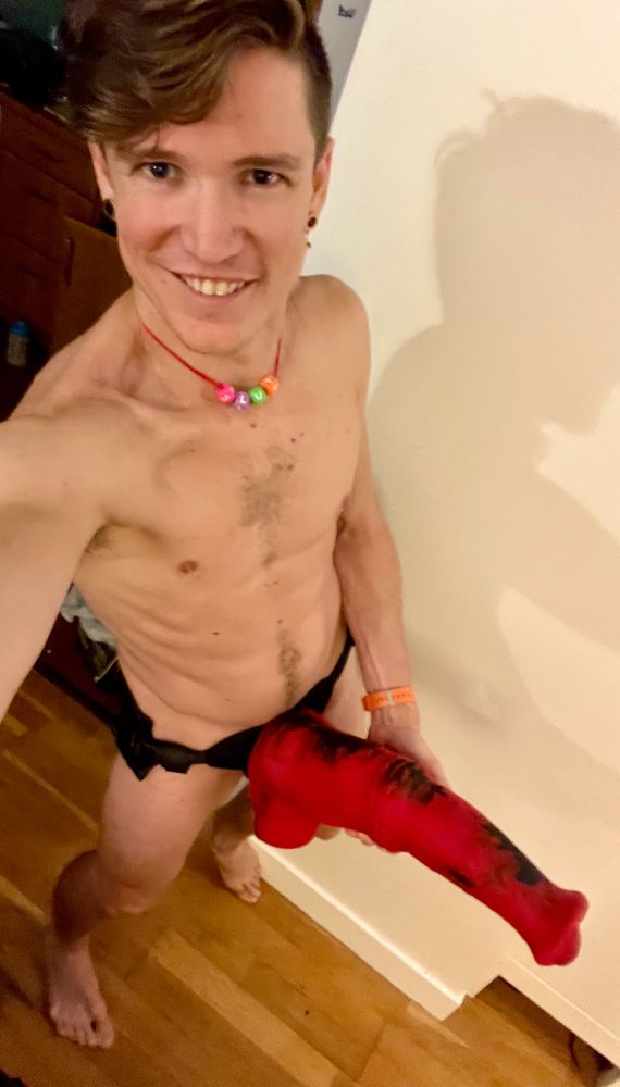 Teddy wearing black strap-on harness with large red Topped Toys Pegasus dildo