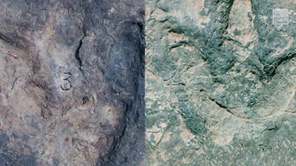 Dino Prints Found On Both Sides Of Atlantic - Videos from The Weather Channel