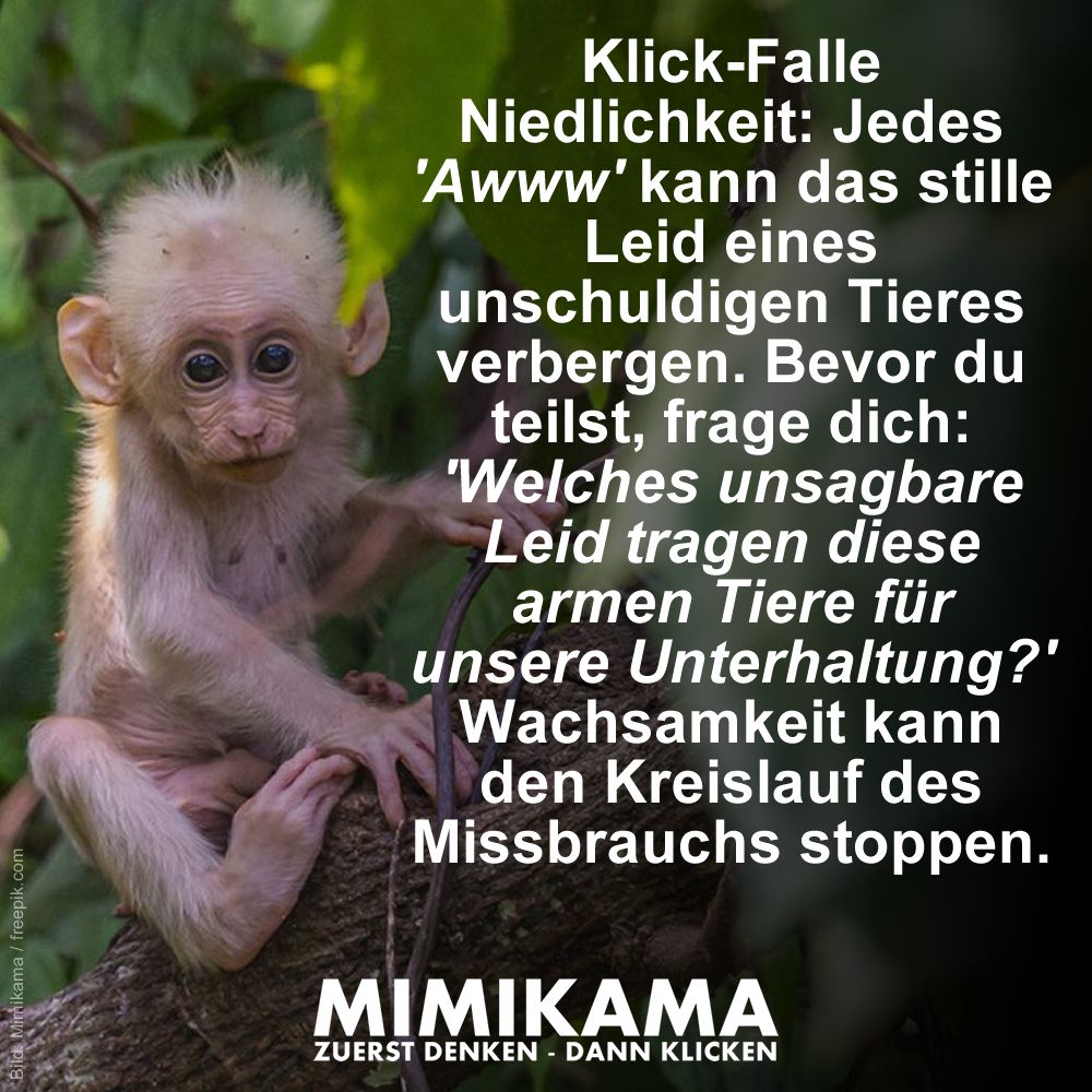 Hinter jedem 'Awww'-Moment könnte ein Geheimnis stecken. Tiere, die 'lachen' oder menschlich wirken, werden oft stundenlang, manchmal tagelang, trainiert. Ihre 'Lächeln' können Masken der Angst und Unterwerfung sein.