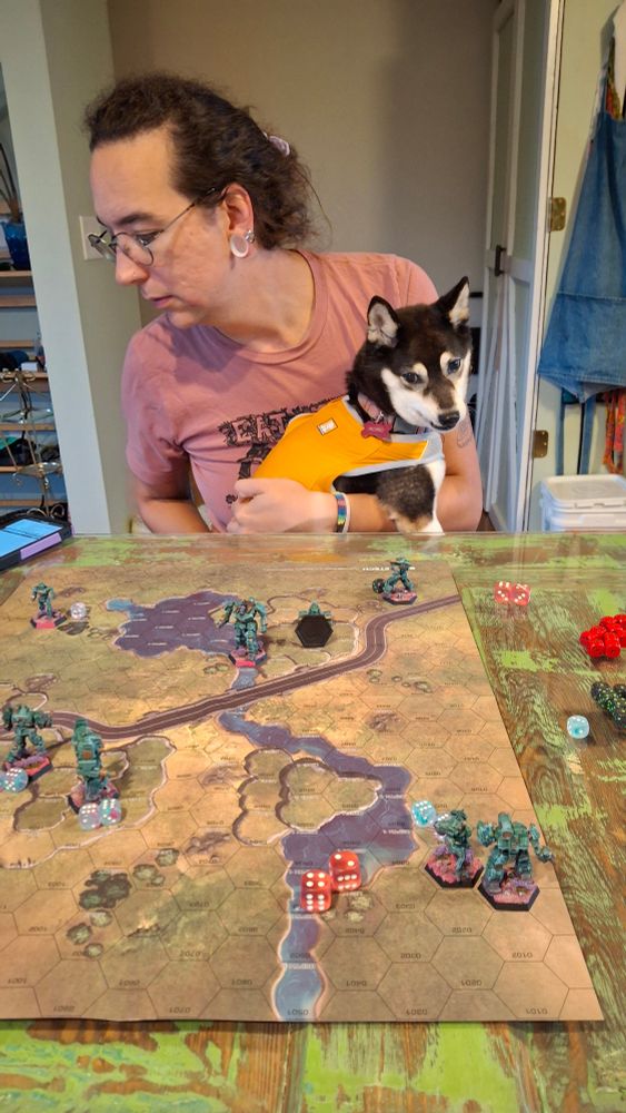 Momo the burnt marshmallow miniature Shiba Inu in an orange thunder vest looking worried over our battletech map where I am kicking gf's ass