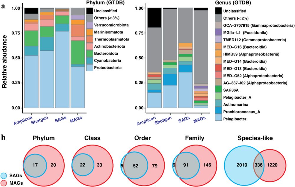 Genomic representativeness and chimerism in large collections of SAGs and MAGs of marine prokaryoplankton - Microbiome