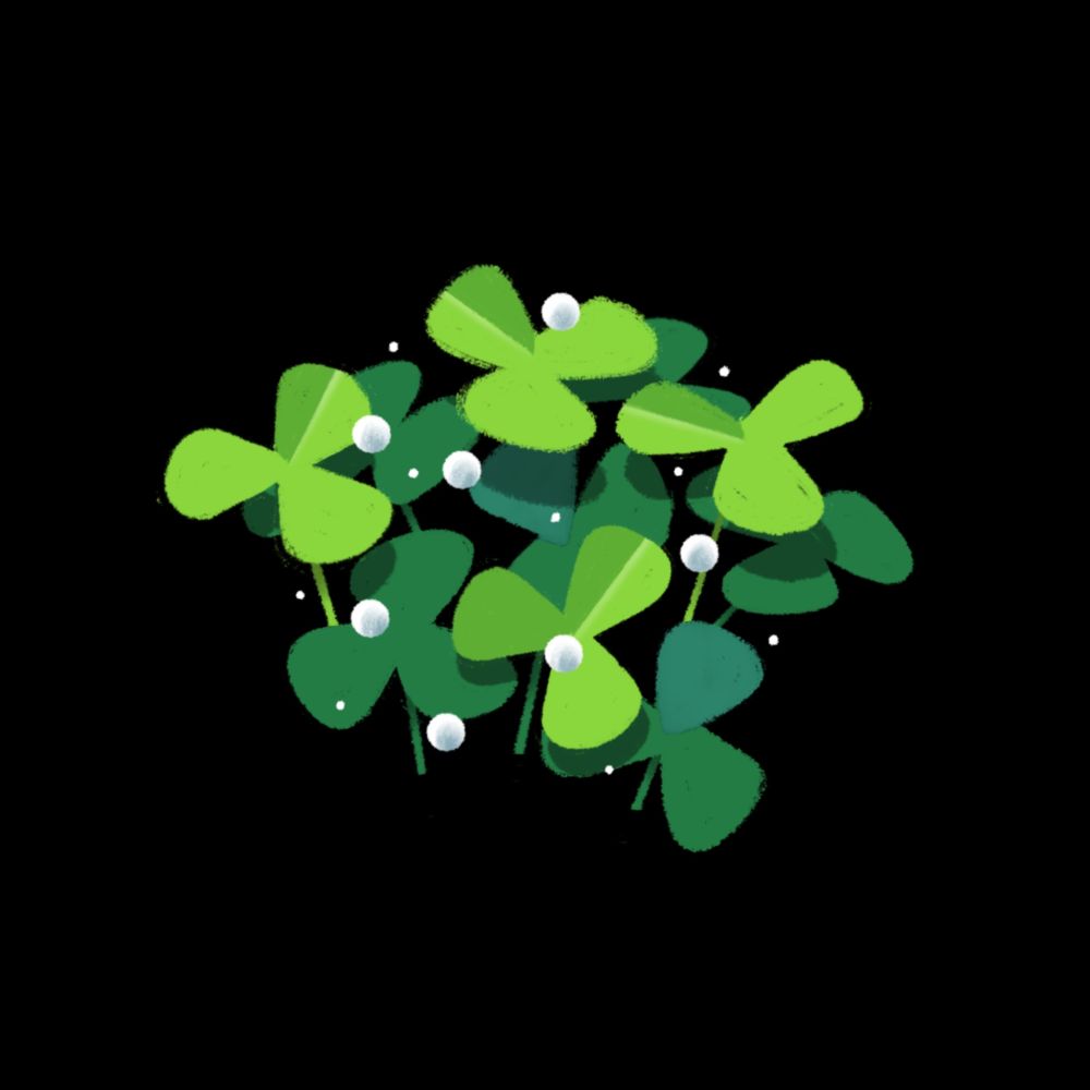 #art young clovers