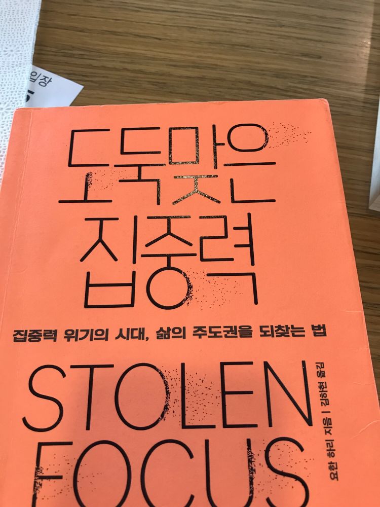 도둑맞은 집중력 책