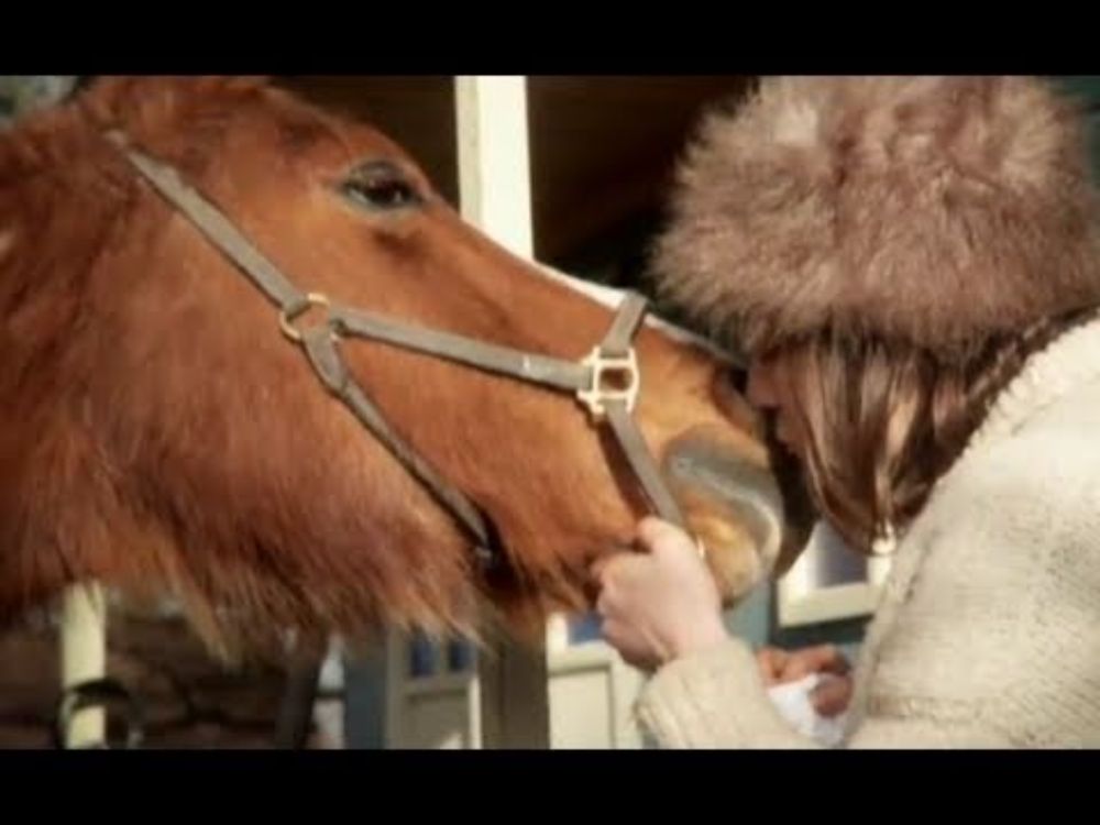 Cate Le Bon "Shoeing The Bones" (official video)