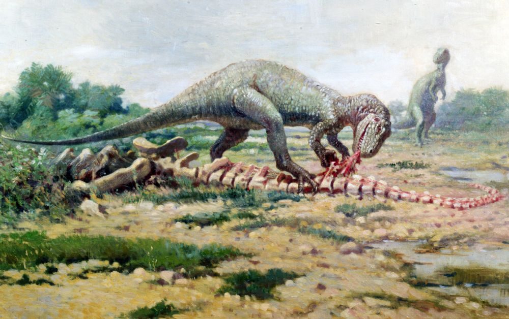 A painting of a theropod dinosaur stripping the last bit of meat off a skeleton.