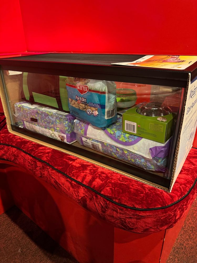 hamster cage with all the fixings. colorful bedding, carrying case, hamster ball and wheel.