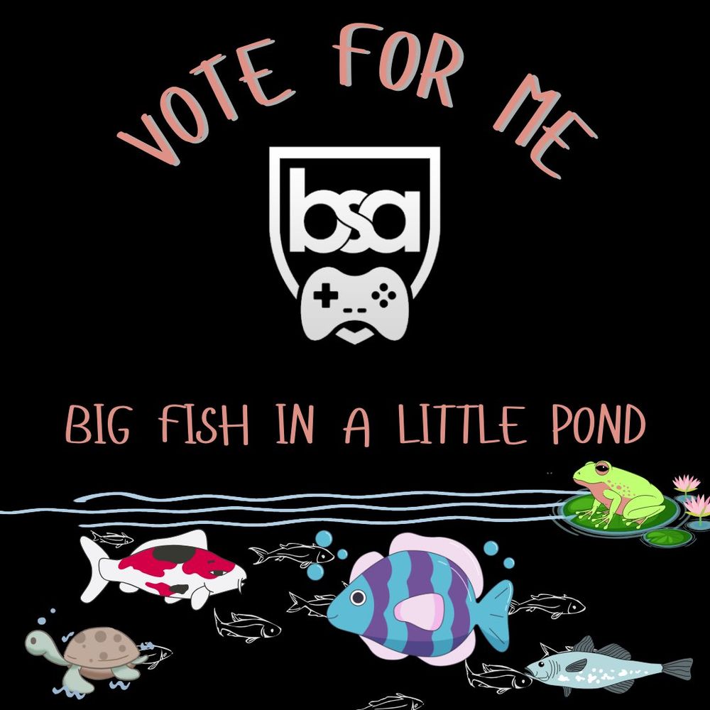 big fish in a little pond flyer for the BIPOC Streamer Awards! 