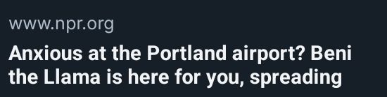 Screenshot of an NPR headline. It states "Anxious at the Portland Airport? Beni the Llama is here for you, spreading". The rest of the headline is cut off, creating unintentional humor