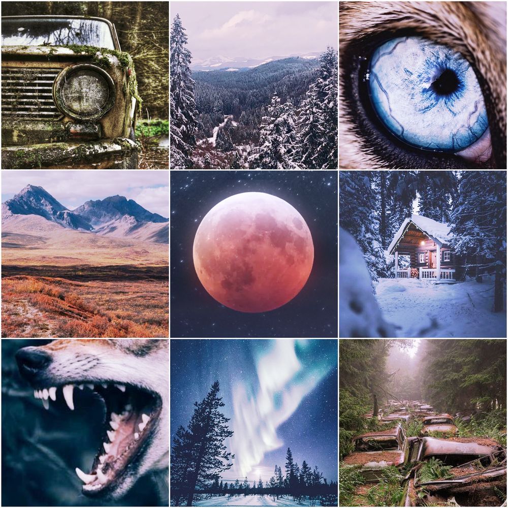 A moodboard with nine images. From top to bottom, left to right: an rusty abandoned car covered in moss; snow-covered evergreens with mountains in the distance; a close-up shot of a bright blue wolf eye; arid grasslands with mountains in the distance; a red eclipsed moon; a wood cabin in the middle of a snowy evergreen forest; snarling wolf jaws; northern lights over a wintry landscape; an overgrown road clogged with abandoned, rusted-out cars