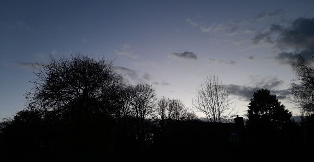 Autumn trees lifted of their leaves are silhouette against a dawn sky mostly clear of cloud.