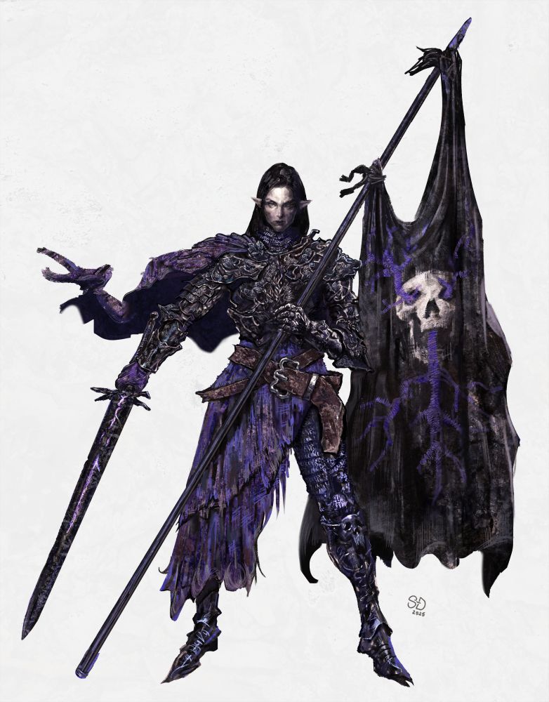 Elf man with a feminine face, long black hair, donning black armor with silver and purple detailing. He is holding a sword in his right and a flag in his left