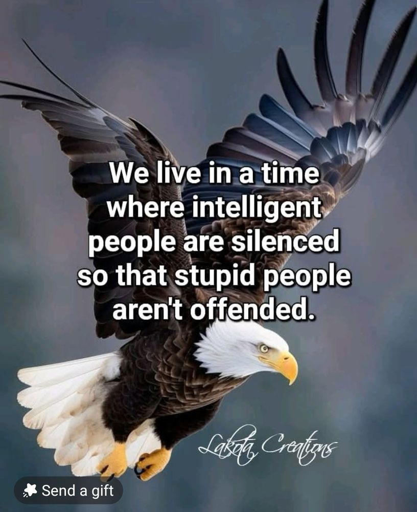 Bald eagle with saying: We live in a time where intelligent people are silenced so that stupid people aren't offended.