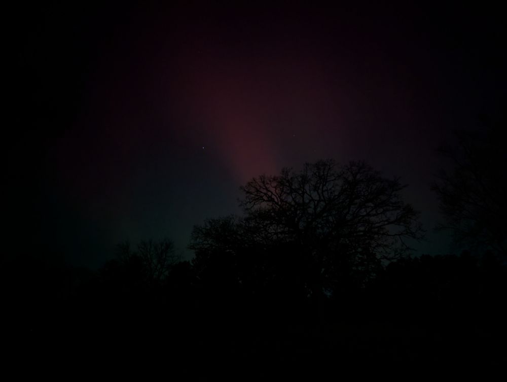 A naked-eye-approximate photo of red aurorae with a green glow above the silhouettes of trees.
