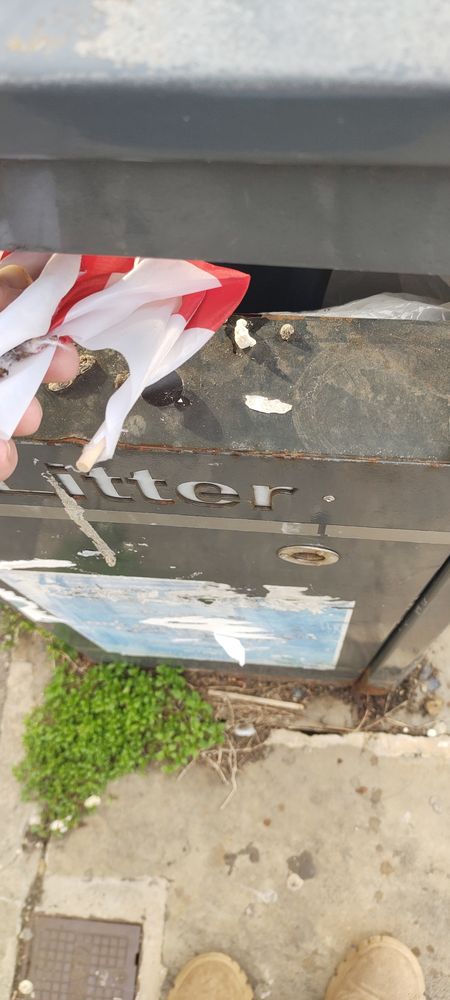 Binning a Farage Flag