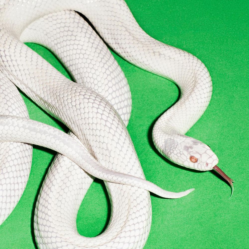 Cover des neuen Deftones-Albums „private music“