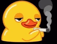 smiling duck smoking and lightly chuckling and shaking its head