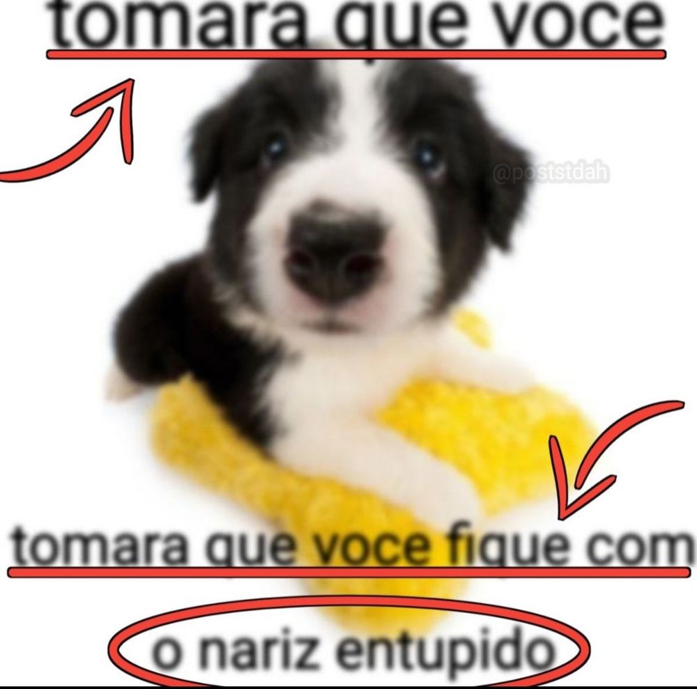 Comment image