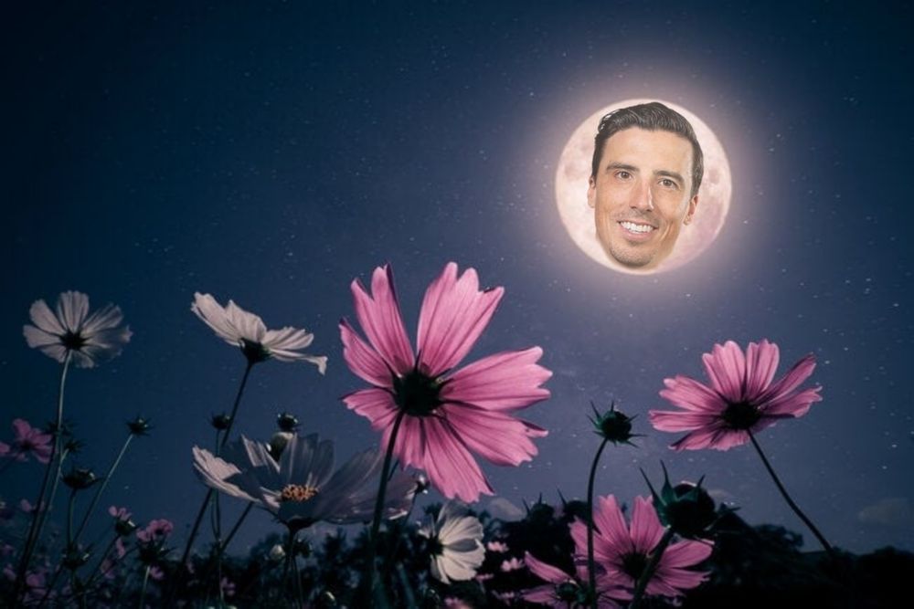 Marc Andre Fleury's face superimposed over a full moon above a field of flowers all turning their faces to the gorgeous moon. 