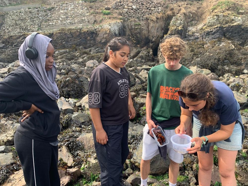 Anna, our long-term volunteer, shows three people something in a bucket on the beach.