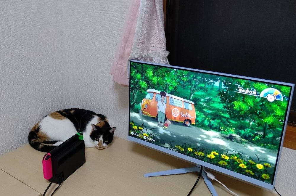 Switchは猫に許される