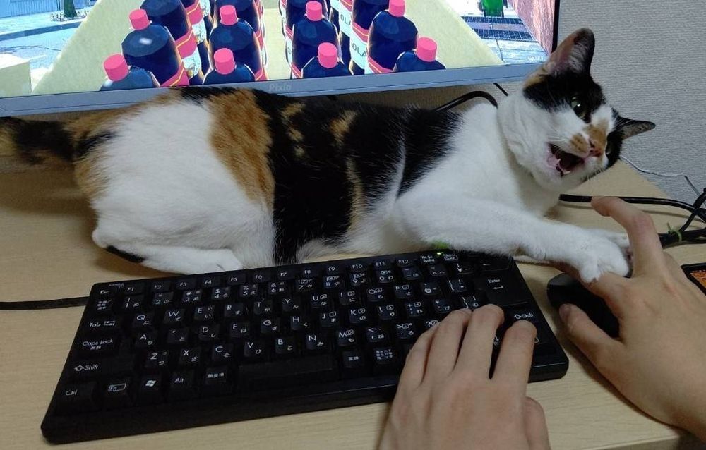 Steamは猫に許されない